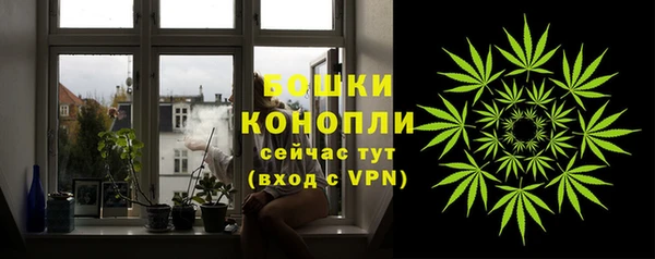 гашик Новокубанск
