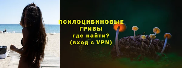 гашик Новокубанск