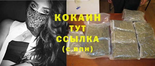 гашик Новокубанск
