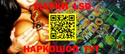 мдпв Нальчик