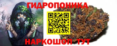хмурый Нарткала