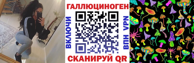 дарнет шоп  Урус-Мартан  мега рабочий сайт  Галлюциногенные грибы Psilocybe 