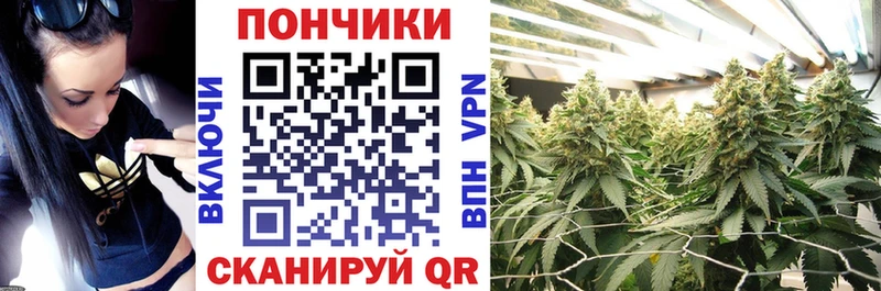 omg как зайти  продажа наркотиков  маркетплейс формула  Шишки марихуана SATIVA & INDICA  Урус-Мартан 